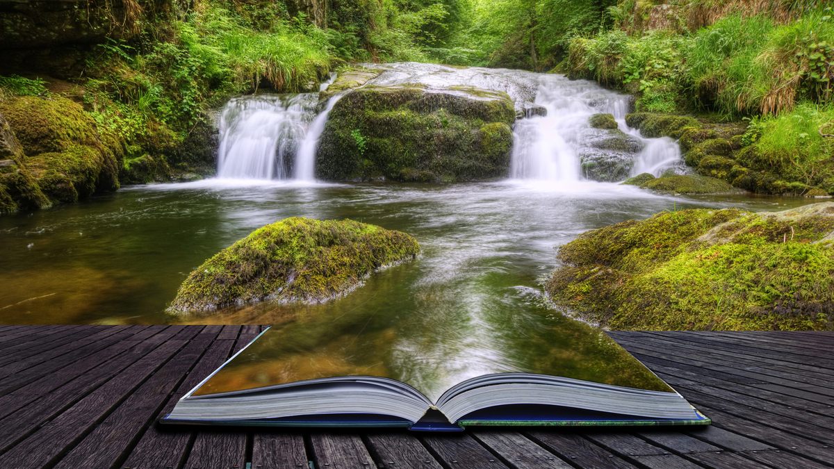 День экологической книги