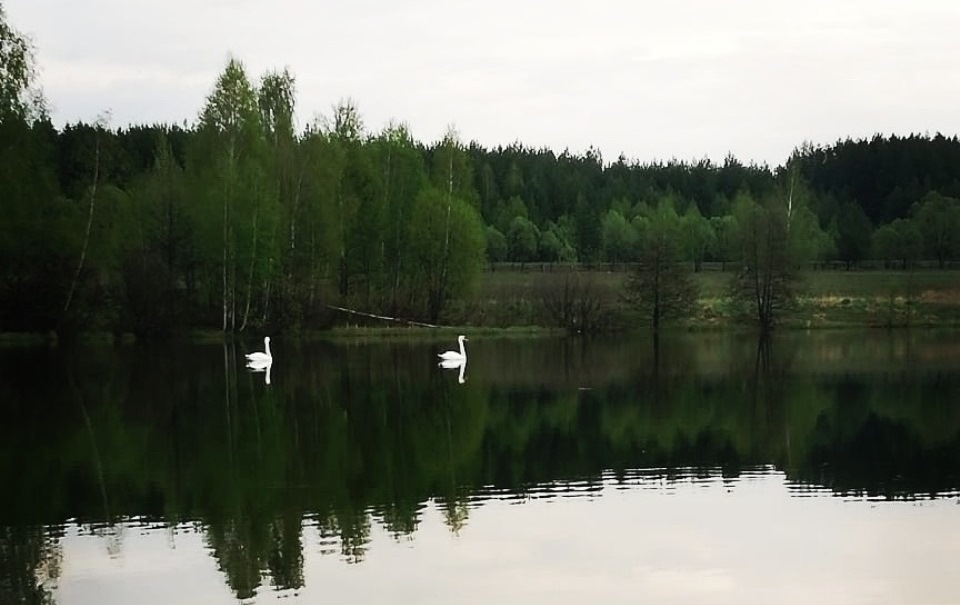 фотокросс
