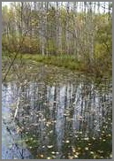 Николаев. Осень на Астраханке. 2006. Цветная фотография. 30 х 21